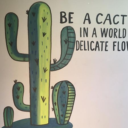Bajas Cactus Hostel Cabo San Lucas Exteriör bild