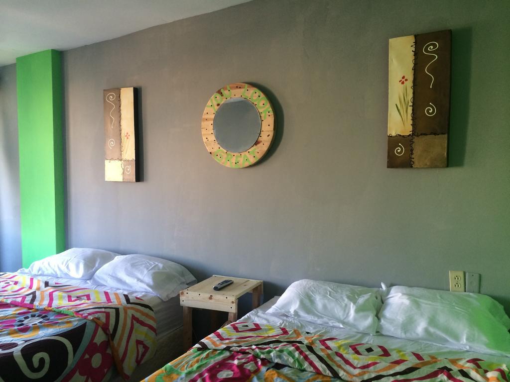 Bajas Cactus Hostel Cabo San Lucas Rum bild