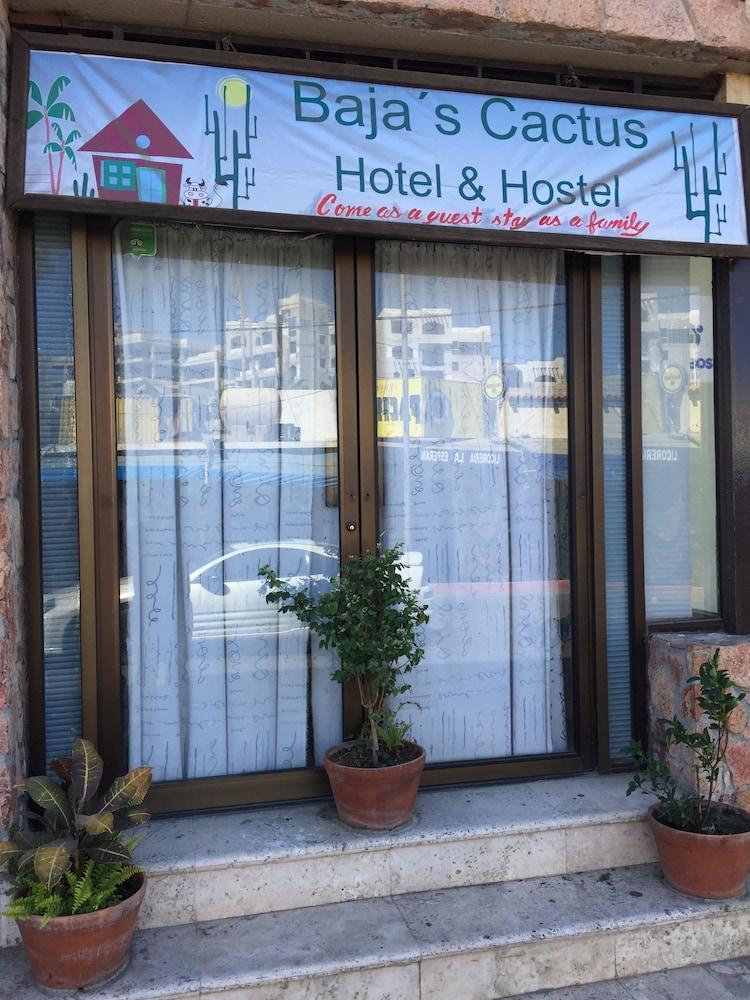 Bajas Cactus Hostel Cabo San Lucas Exteriör bild