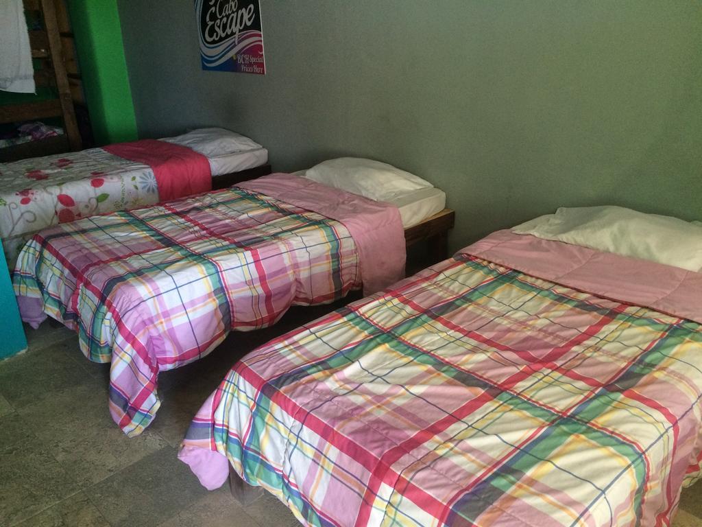 Bajas Cactus Hostel Cabo San Lucas Rum bild