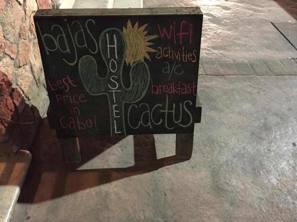 Bajas Cactus Hostel Cabo San Lucas Exteriör bild