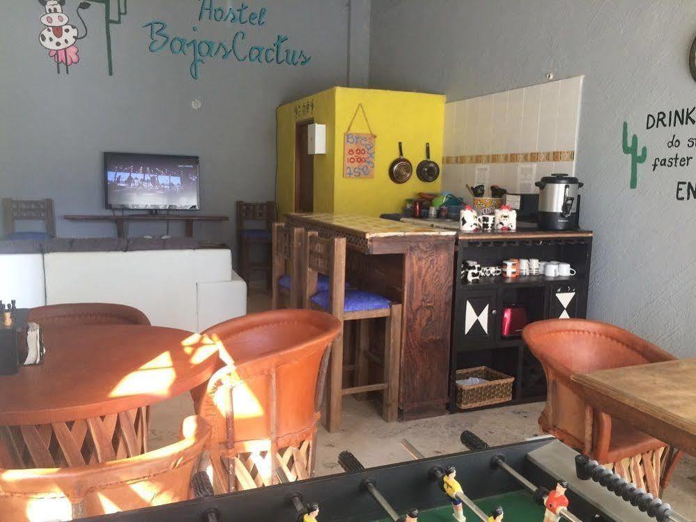 Bajas Cactus Hostel Cabo San Lucas Exteriör bild