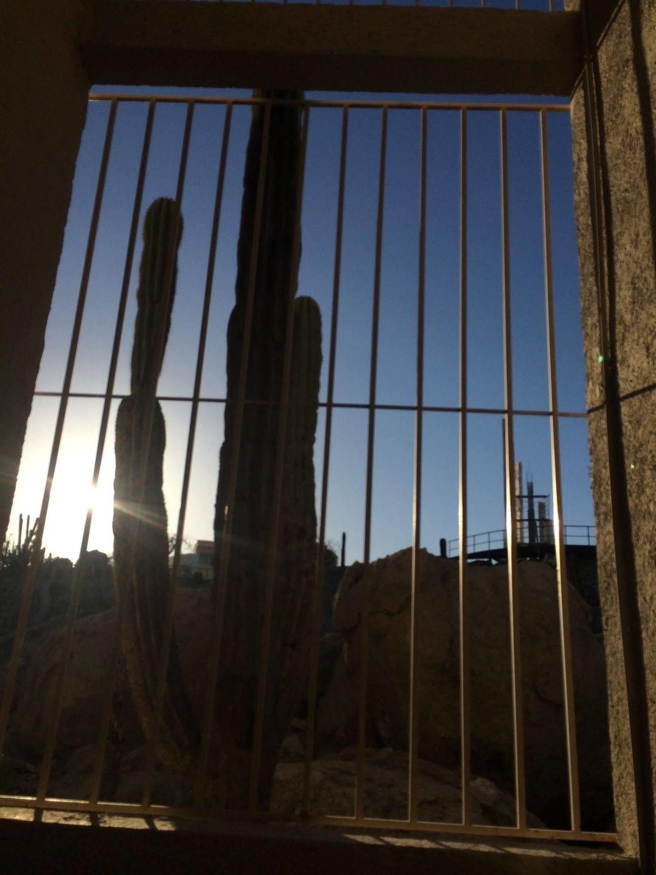 Bajas Cactus Hostel Cabo San Lucas Exteriör bild
