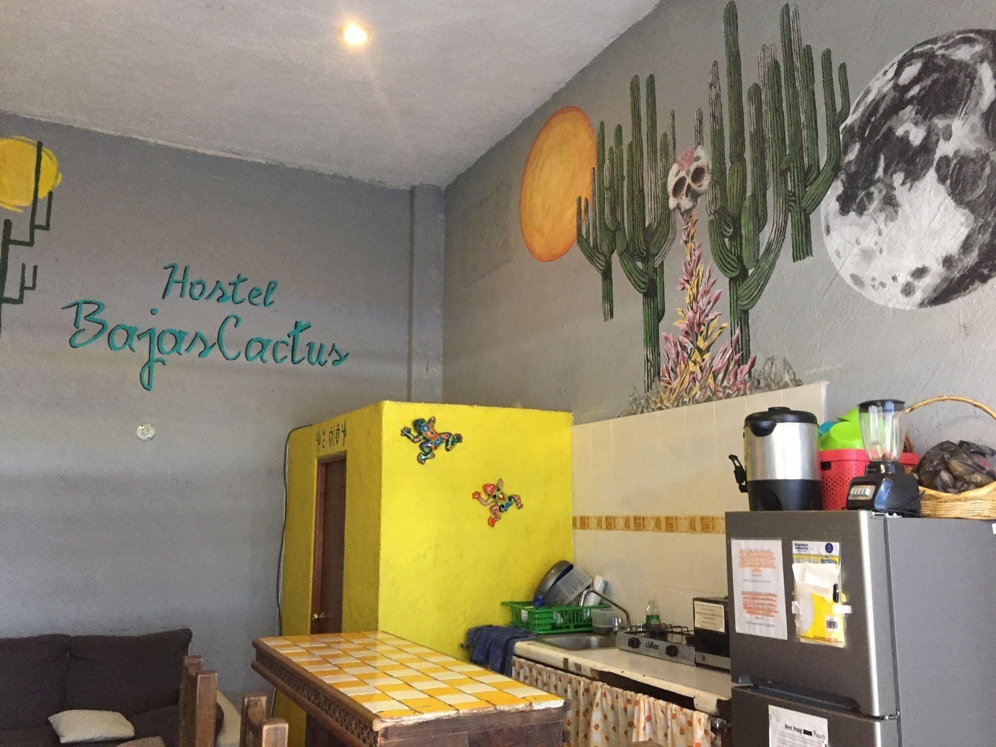 Bajas Cactus Hostel Cabo San Lucas Exteriör bild