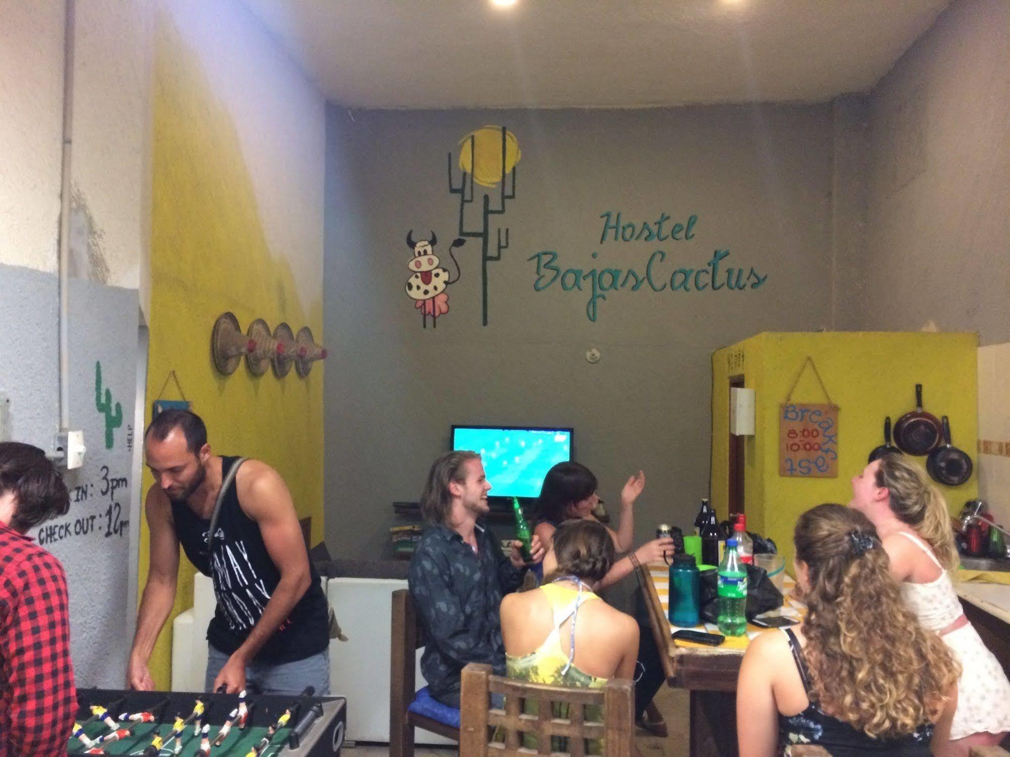 Bajas Cactus Hostel Cabo San Lucas Exteriör bild