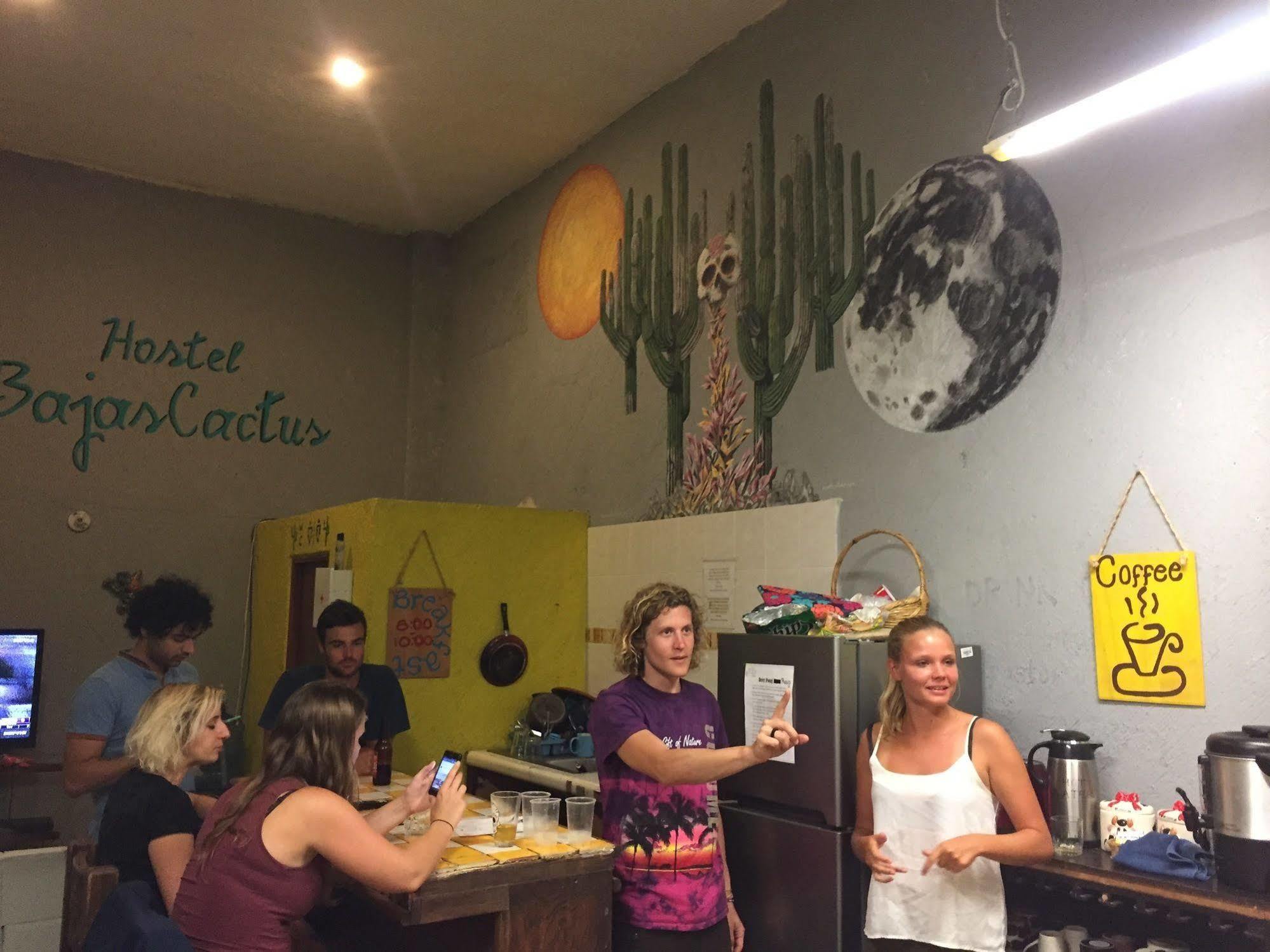 Bajas Cactus Hostel Cabo San Lucas Exteriör bild
