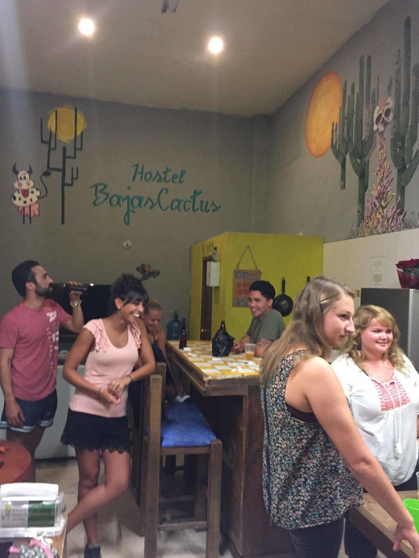 Bajas Cactus Hostel Cabo San Lucas Exteriör bild