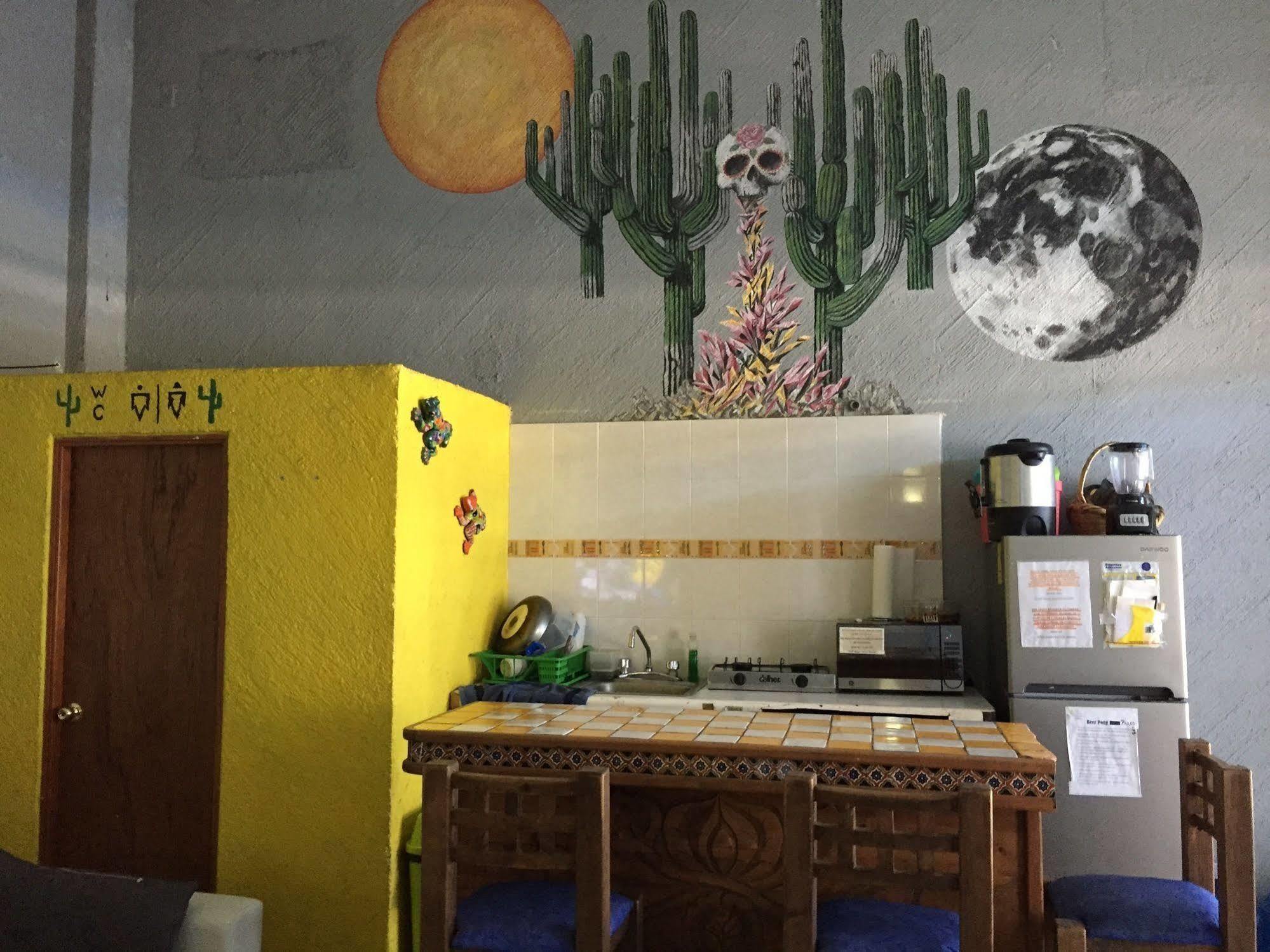Bajas Cactus Hostel Cabo San Lucas Exteriör bild