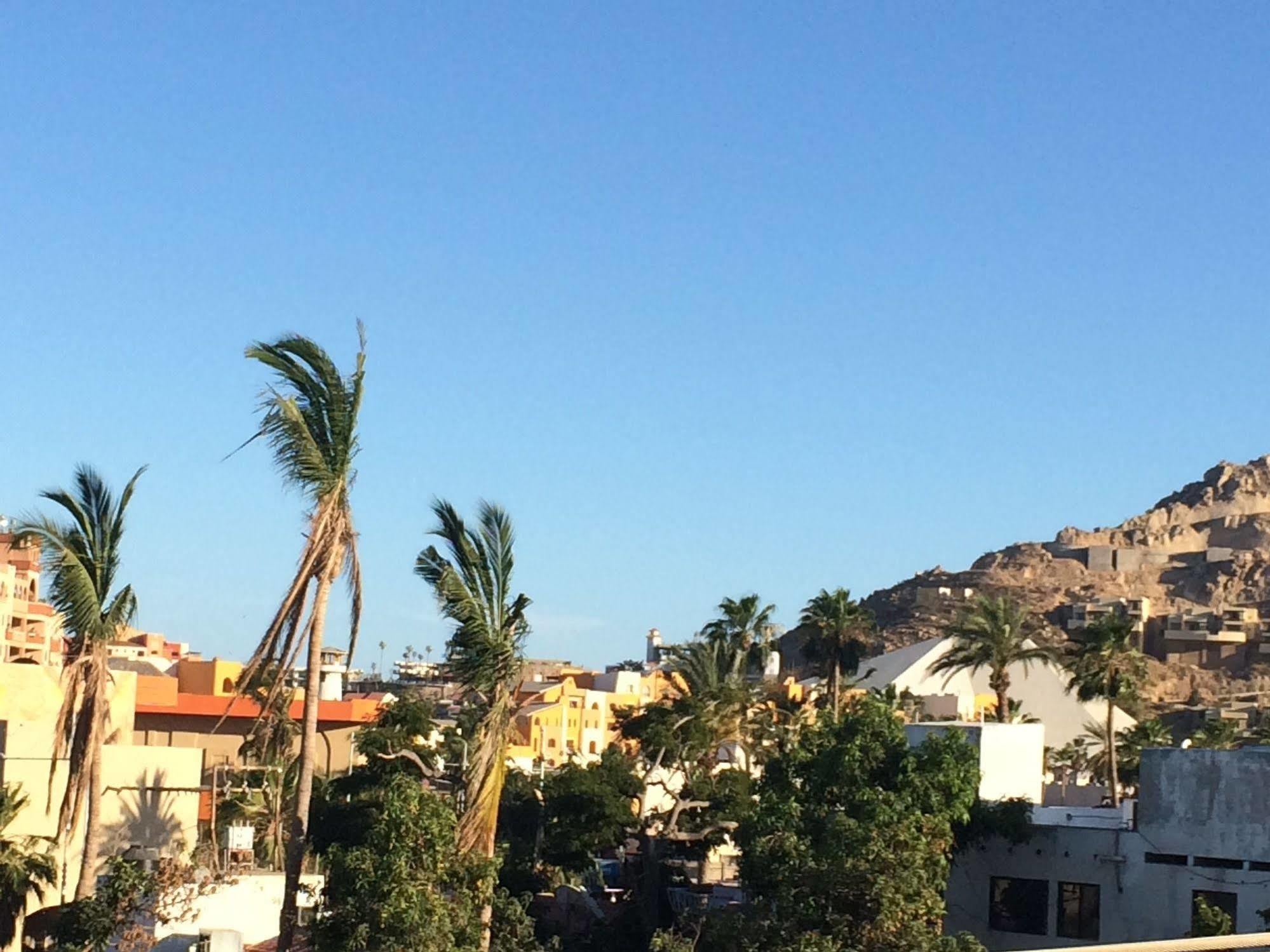 Bajas Cactus Hostel Cabo San Lucas Exteriör bild