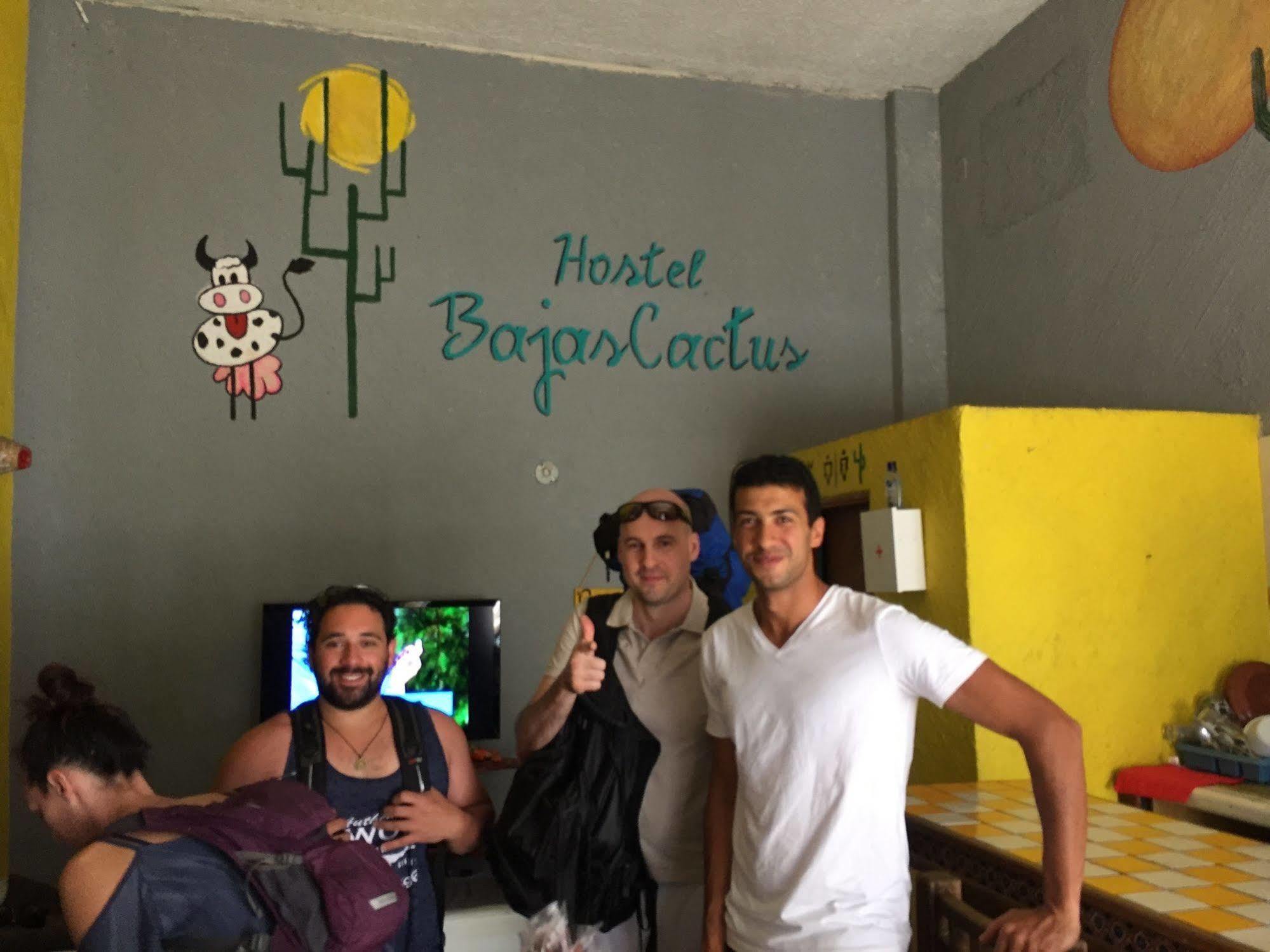 Bajas Cactus Hostel Cabo San Lucas Exteriör bild