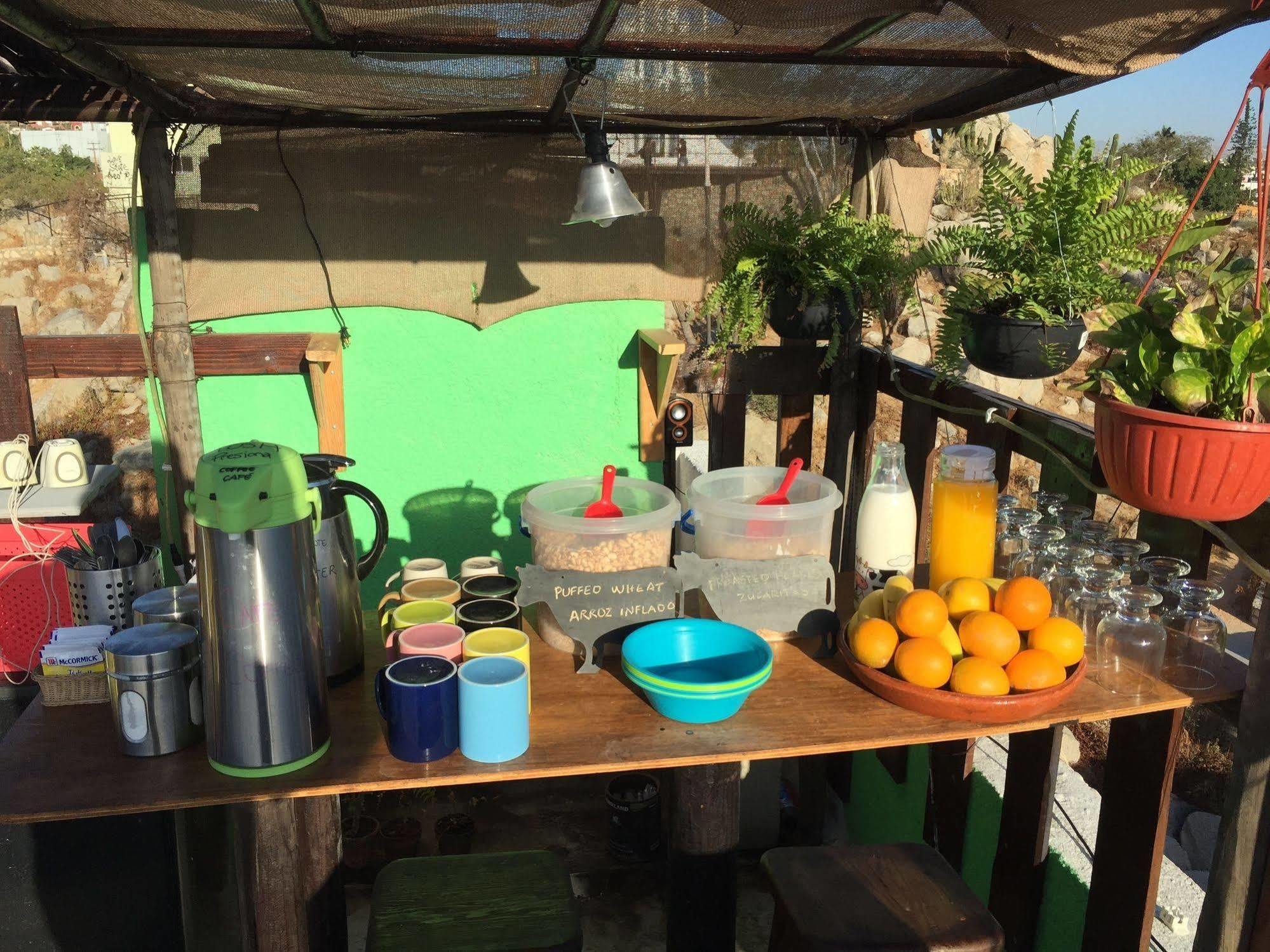 Bajas Cactus Hostel Cabo San Lucas Exteriör bild