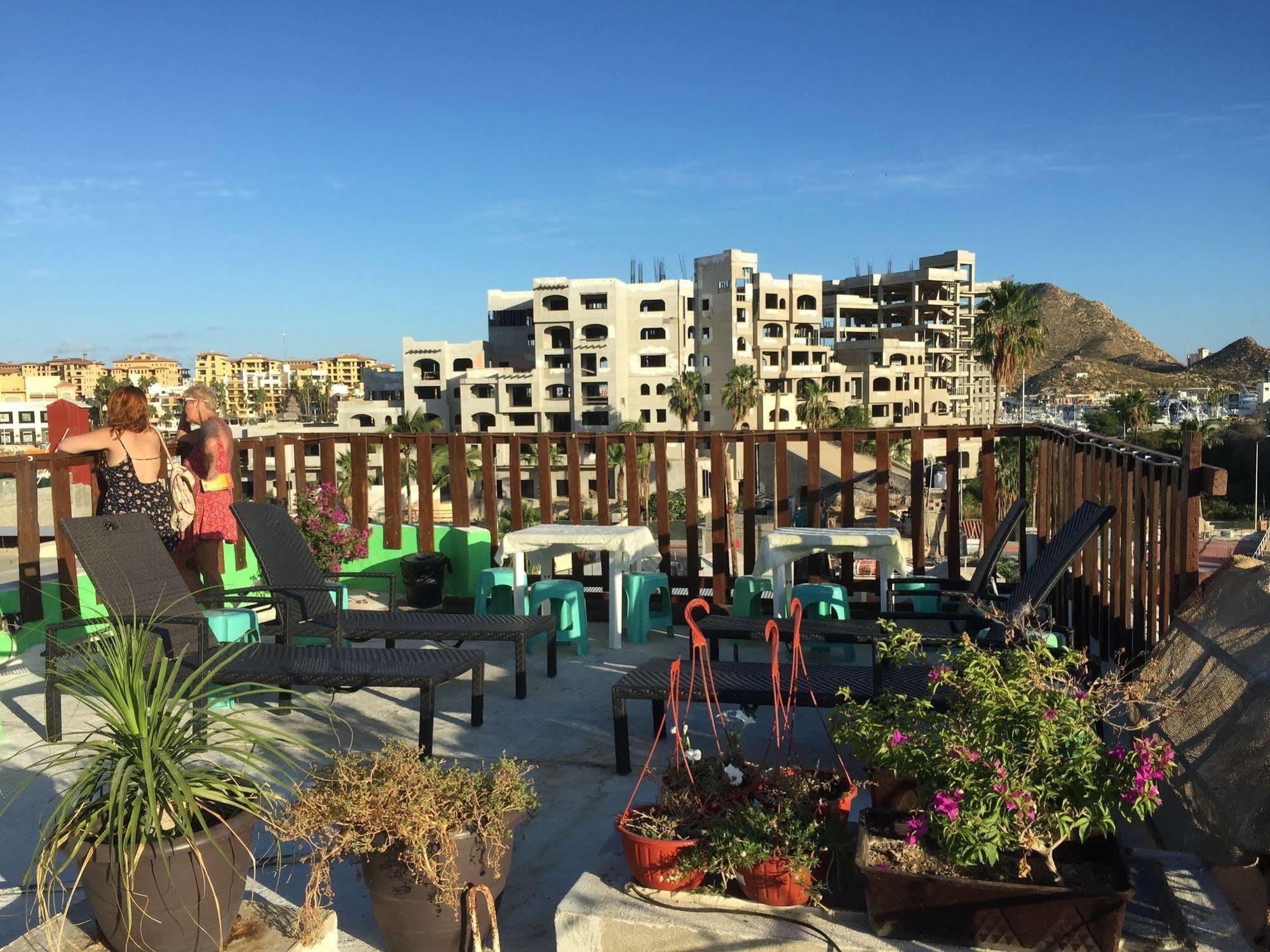 Bajas Cactus Hostel Cabo San Lucas Exteriör bild