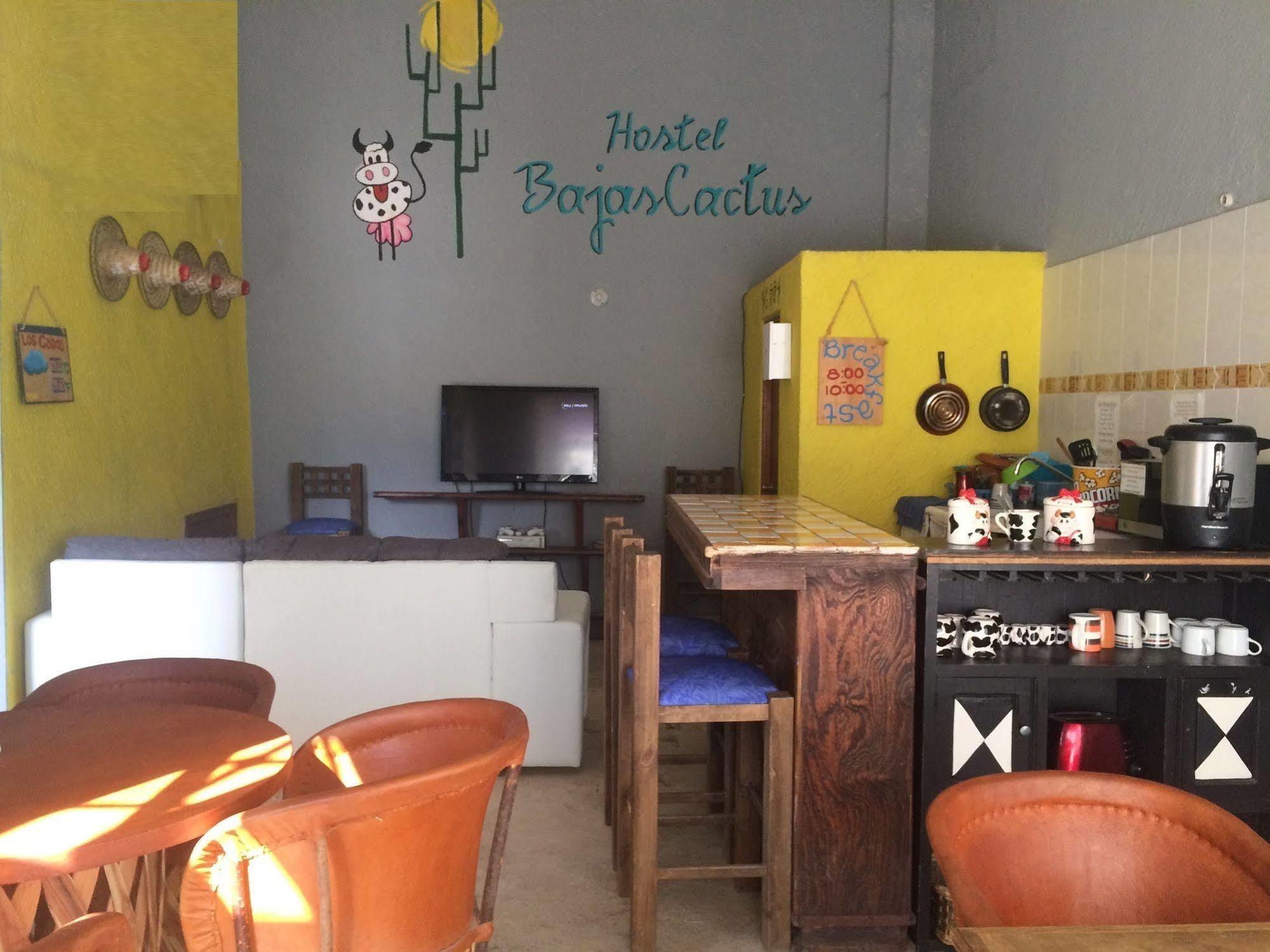Bajas Cactus Hostel Cabo San Lucas Exteriör bild