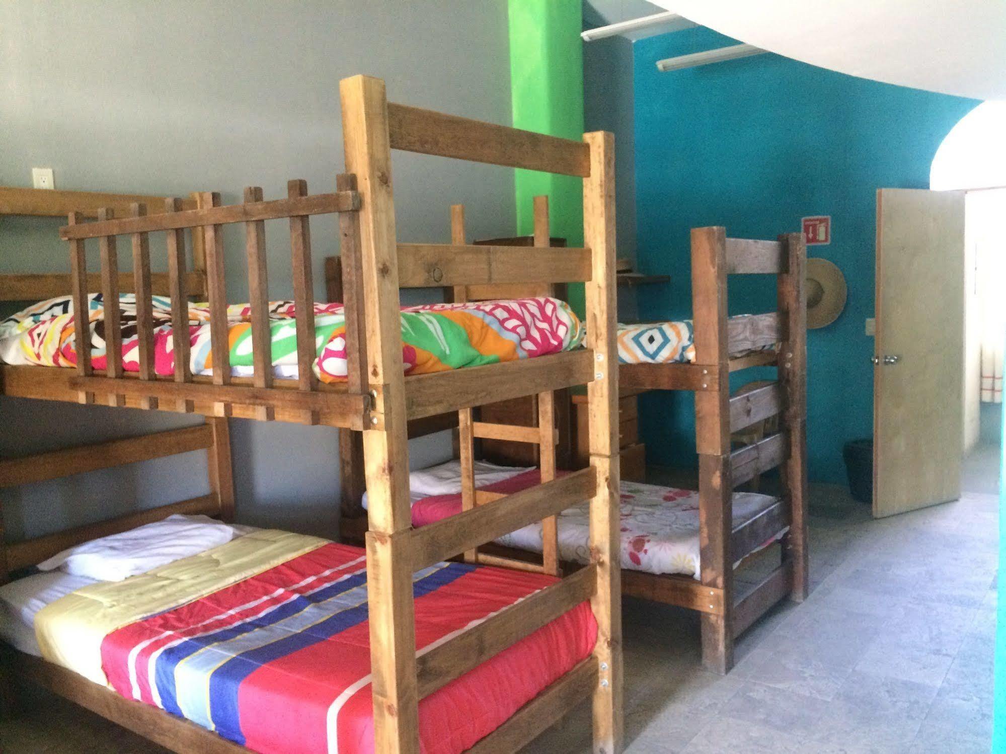 Bajas Cactus Hostel Cabo San Lucas Exteriör bild