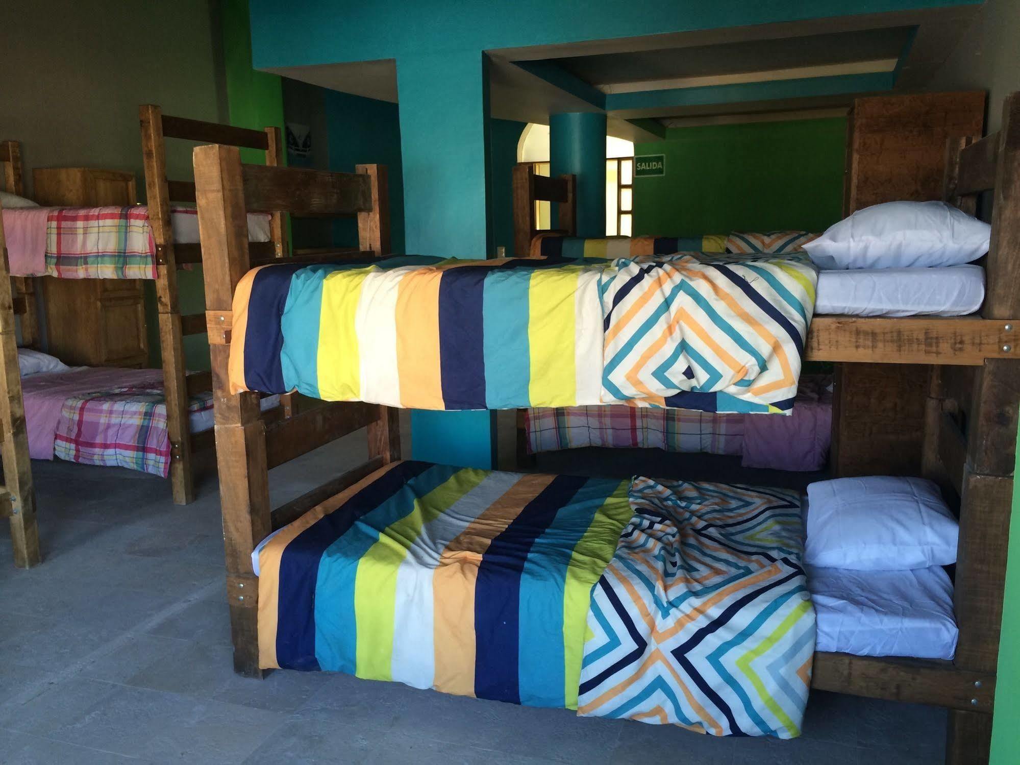 Bajas Cactus Hostel Cabo San Lucas Exteriör bild