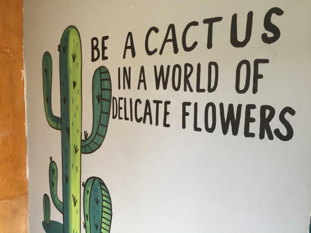 Bajas Cactus Hostel Cabo San Lucas Exteriör bild